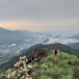 Muthukora Mala Kottayam 